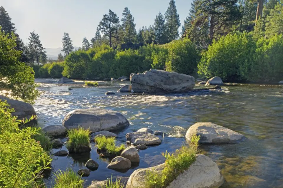 Truckee River Valley